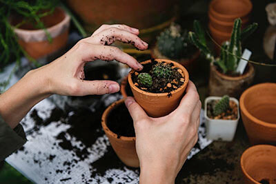 green-gardening-gallery-4