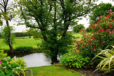 pond_0004_5