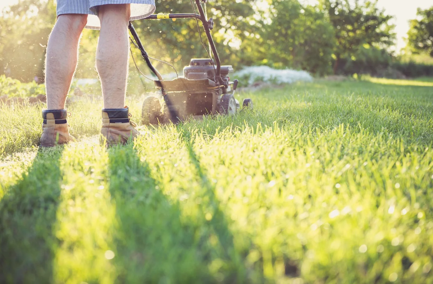 Person mäht einen sonnigen Rasen als Beispiel für Gartenarbeit und Grünflächenpflege.